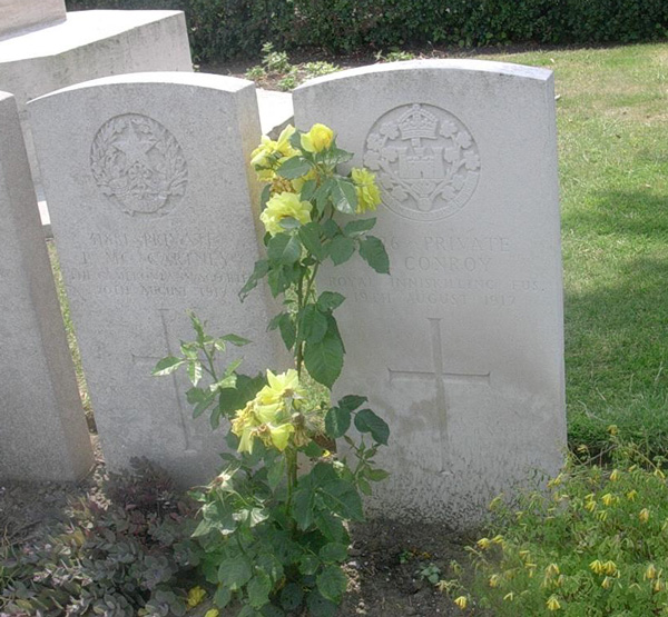 Private James Conroy's headstone